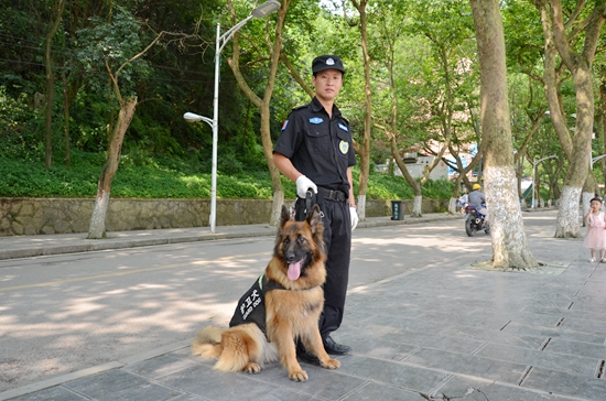 DSC_7170_副本.jpg